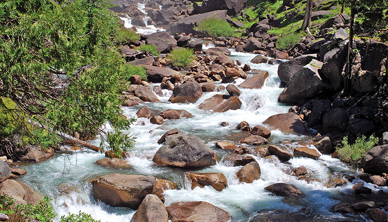 Wyoi-yosemite-walking-7